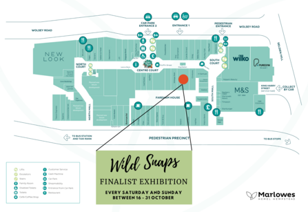 Wild Snaps exhibition 2021 - The Marlowes shopping centre