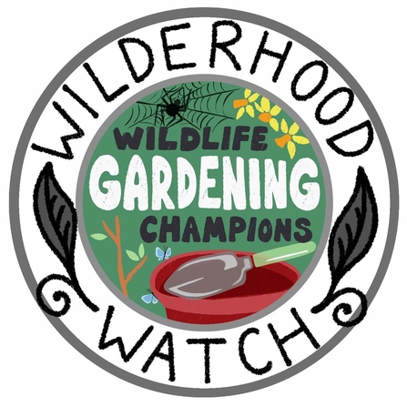 Wilderhood watch wildlife gardening champions