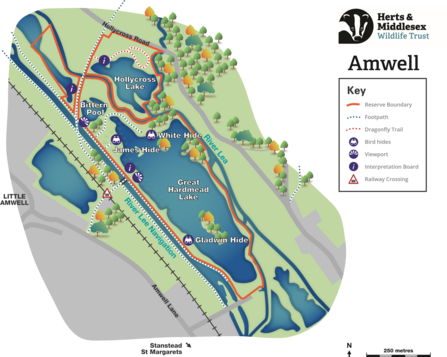 Amwell Nature Reserve 2022