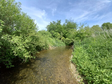 River Ash