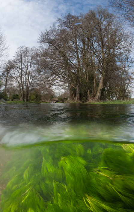 Peter Tatton - River Mimran early april