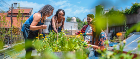 Community Garden with people standing or kneeling over a raised bed. One lady is planting