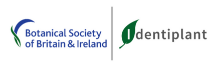 Botanical Society of Britain and Ireland Logo and Identiplant Logo side by side