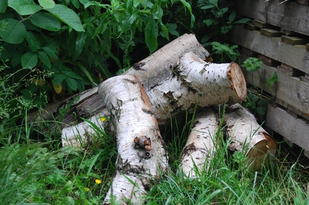 A selection of short logs piled on each other on the grass