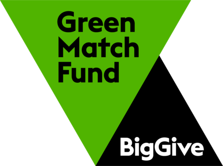 Green and black triangles with Green Match Fund Big Give words
