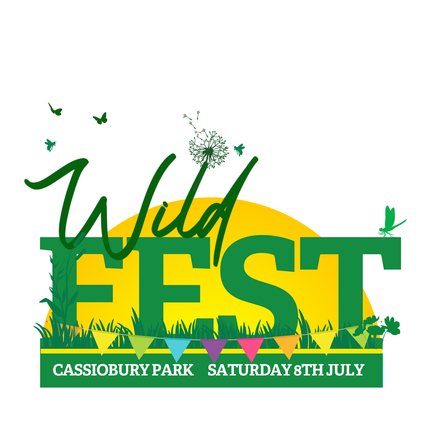 Wildfest text in green with yellow sun behind and colourful bunting