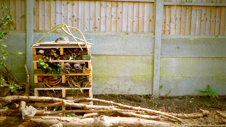 Bug mansion at George Street Canteen in St Albans 