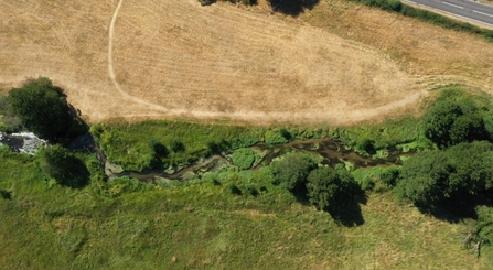 Birdseye view of Archer's Green nature reserve: the river Mimram can be seen horizontally bisecting the photo, in the bottom half is a green meadow, the top half is dry brown grass. The banks of the river are greenest and there are trees dotted along its length.