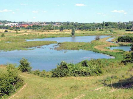 Bird's eye view of King's Meads Nature Reserve on a sunny day