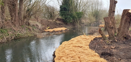 A river on an overcast day, the banks have been dug up and its paths has been made more curved . The edges of the bank are covered with hessian (a coarse brown woven fabric).