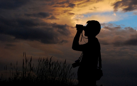 A man holding a pair of binoculars to their eyes is standing next to some reeds, silhouetted against a cloudy sunset.
