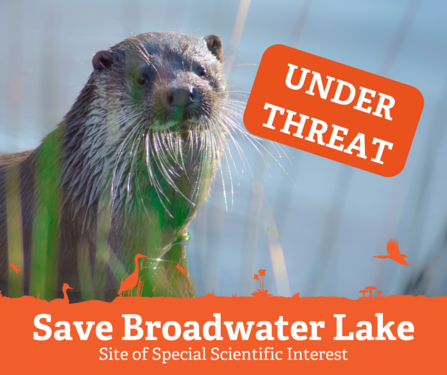 Otter near water next to an Under Threat sign and Save Broadwater Lake banner