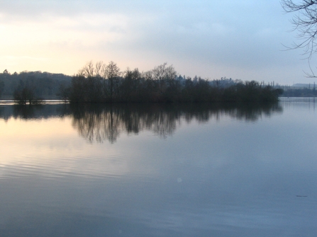 Winter scene on a lake with an island of trees