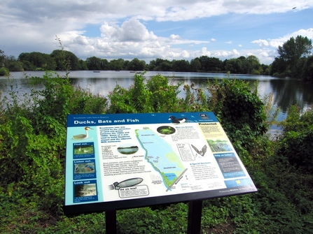Rectangular information board at Broadwater lake in verdant green vegetation. The board overlooks the still lake bordered by trees on a bright day, the blue gently clouded sky is reflected in the lake’s surface. 