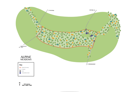 Map of Alpine Meadows