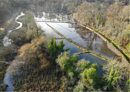 The large-scale restoration project at Cassiobury Park LNR