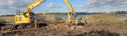 Digger at Hilfield Park Reservoir Nature Reserve