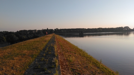 Hilfield Park Reservoir 