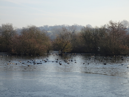 Stockers Lake