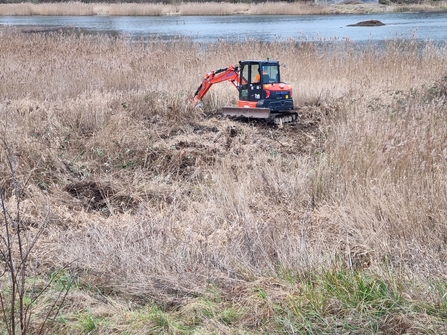 A red digger is excavating is creating a scrape in a reedbed at Amwell Nature Reserve