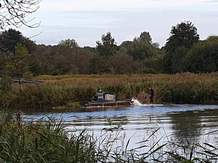 Truxor at work at Amwell, cutting the reedbed from the water
