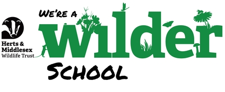Herts and Middlesex Wildlife Trust with badger logo and the words We're a Wilder School