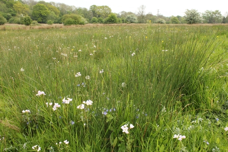 Blagrove Common