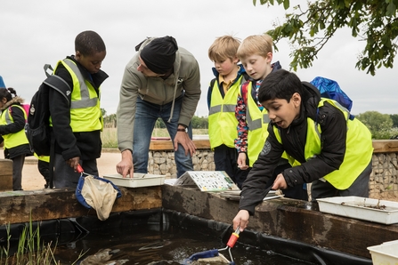 A group of school children pond dipping.