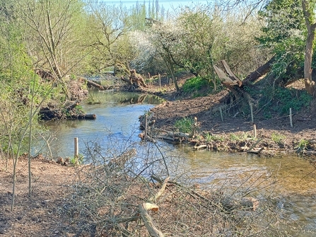 Rewiggling the River Stort