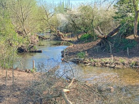 Fundraising to Put the Wiggle Back in our Rivers | Herts and Middlesex ...