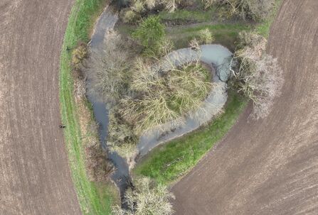 River Ash - new wetland area created (meander reconnection)