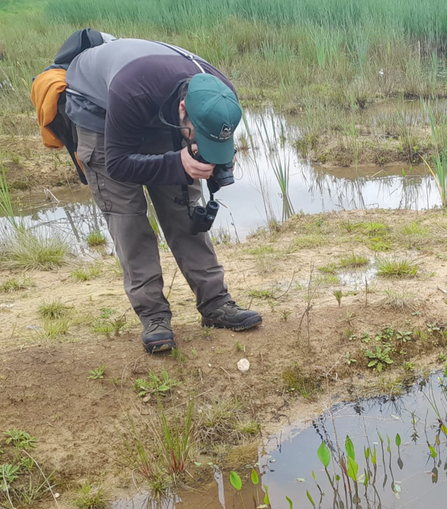 A photo of Dan Townsend, Senior Reserves Officer taking a photo of a plant at the edge of a pond