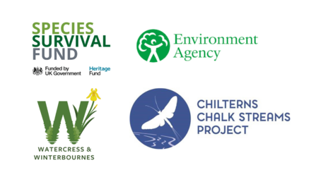 Logos of the Species Survival Fund, Environment Agency, Watercress & Winterbournes and Chilterns Chalk Streams Project