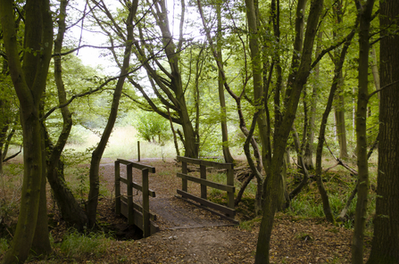 Balls Wood Nature Reserve