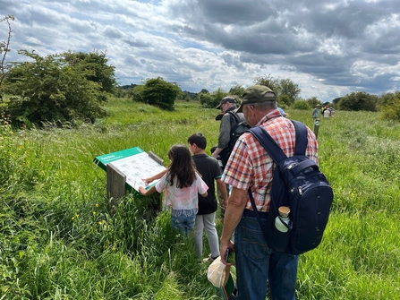 Dragonflies and Nature Ramble at King's Meads