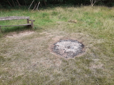Fire at Danemead Nature Reserve, June 2025