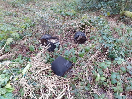 Garden waste dumped at Hertford Heath Nature Reserve in January 2025