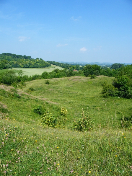 Hexton Chalk Pit