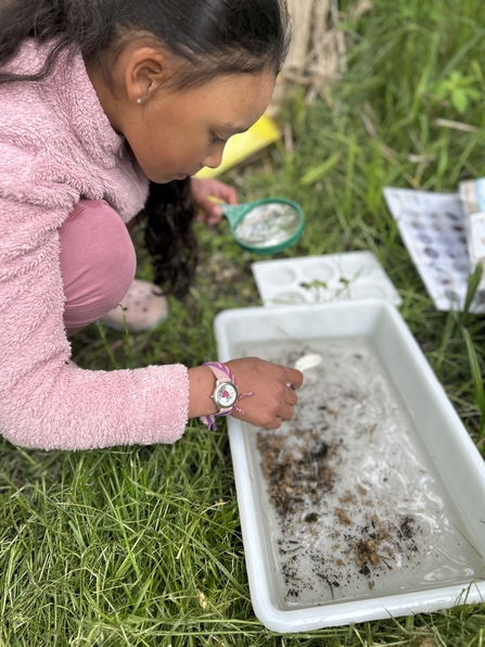 Pond dipping at the Chalk Stream Challenge