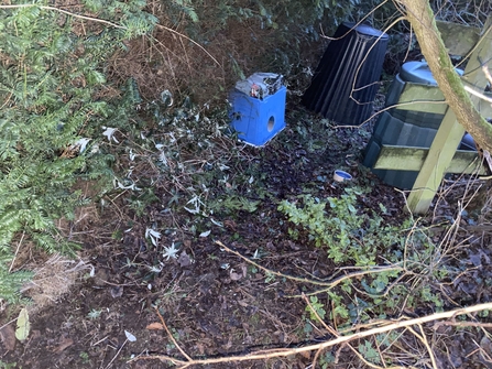 Hedgehog feeding station