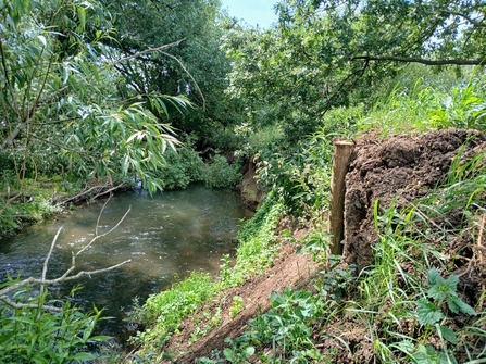 New Kingfisher pad on the River Stort 
