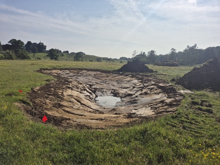 A newly dug pond scrape