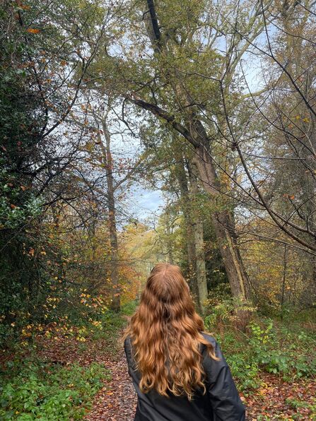 Looking up in woodland