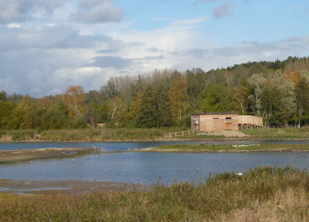 A view across one of the Amwell lakes to the James hide
