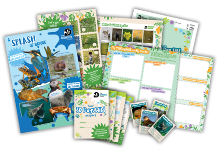30 Days Wild Kids Pack illustration