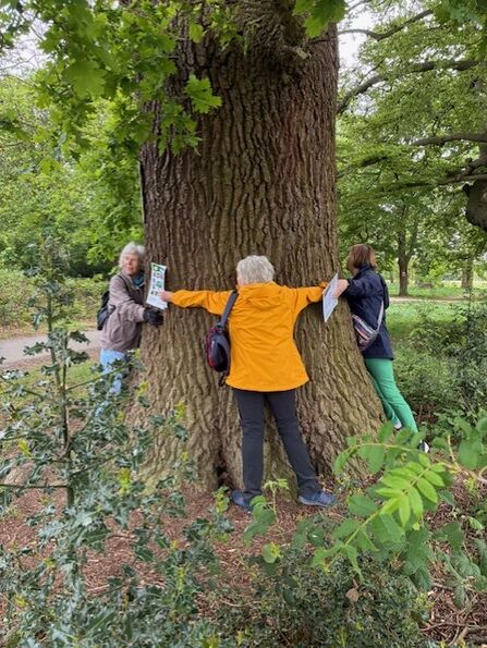 Carers in Herts tree hugging 