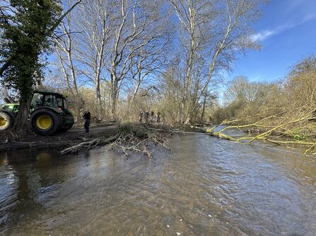 Creating shaggy margins on the River Lea at Stanborough Park
