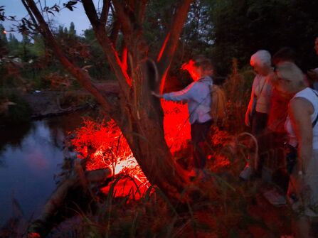 Evening wildlife spotting event with red-light torches at Stanborough Park