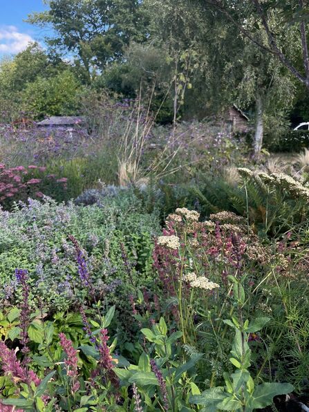 The Healing Garden at Harefield Hospital 