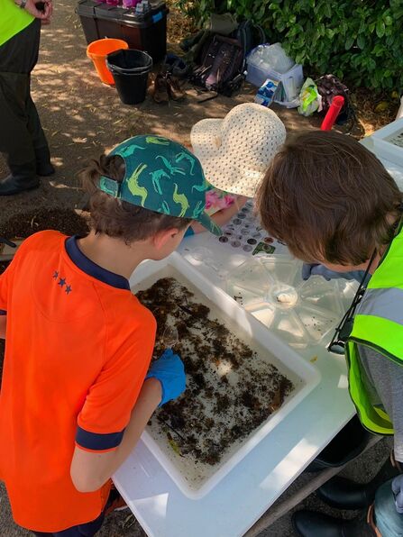 Herts Rivers Week - River dipping finds at Stanborough Park